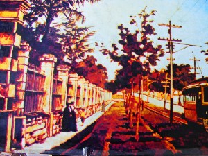 biblioteca 074 copy.jpg